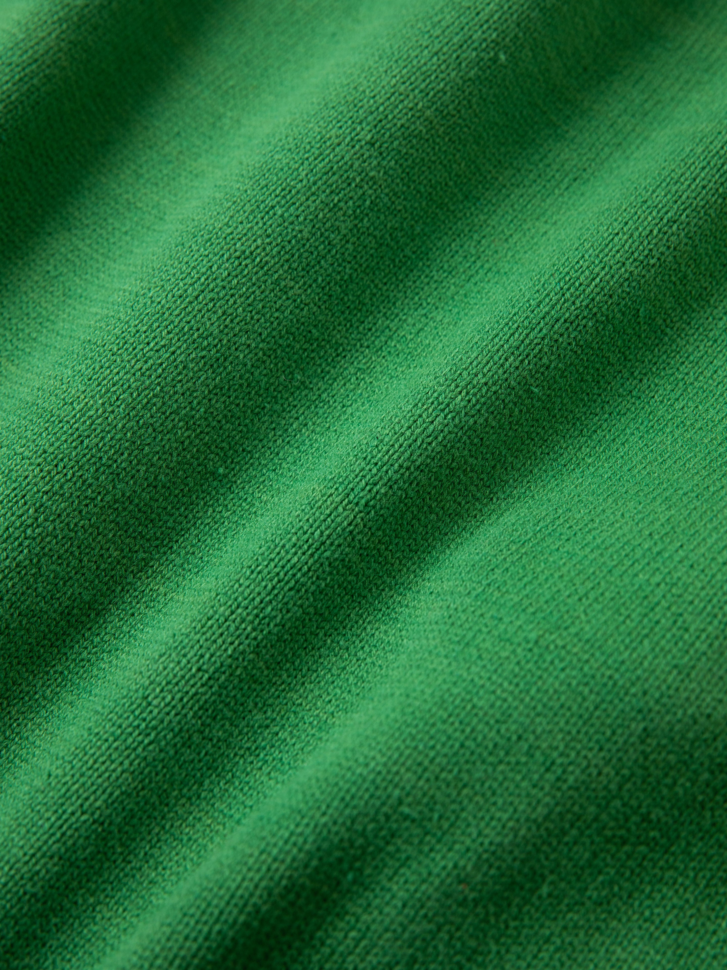 Close-up image of a green fabric with visible texture and slight folds, reminiscent of a vintage look, perfect for the Pineneedle Varsity Knit Cardigan by FOUND.